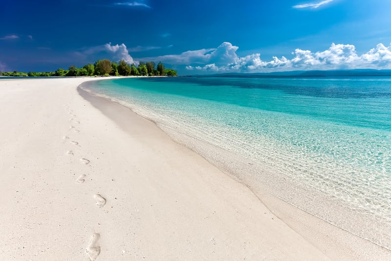 Beach Walks